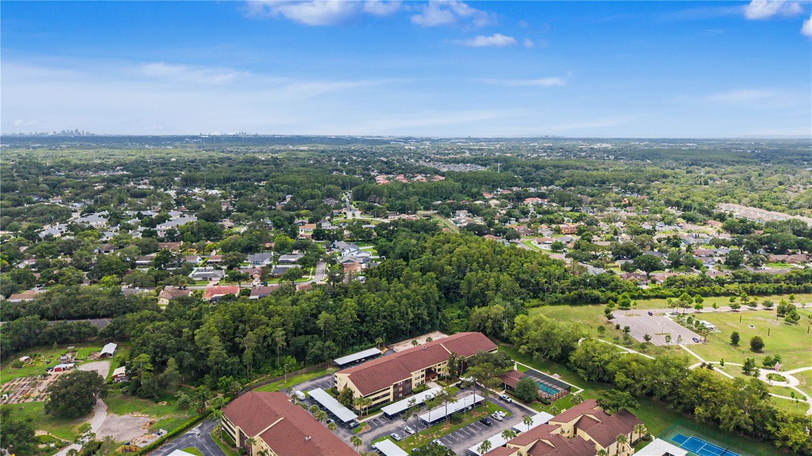 THE TOWERS AT CARROLLWOOD VILL - Residential