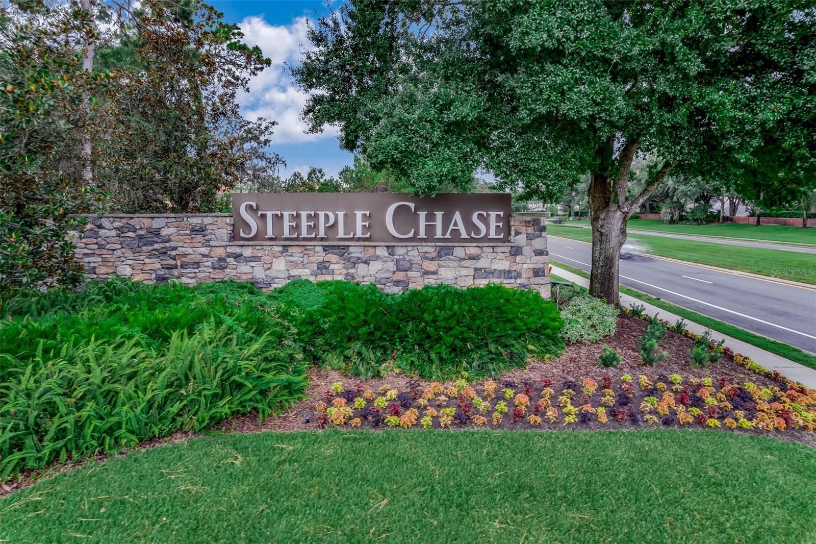 STEEPLE CHASE - Residential