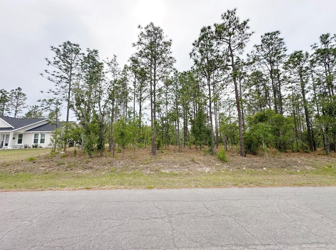 Located in Williston Highlands, this 0.23-acre parcel offers paved road access and a convenient location just minutes from town. Great opportunity for a future homesite or investment property in a growing area. Easy access to nearby schools, shopping, and amenities while still enjoying a quiet setting. Buyer to verify zoning, utilities, flood zone, and intended use with the county.