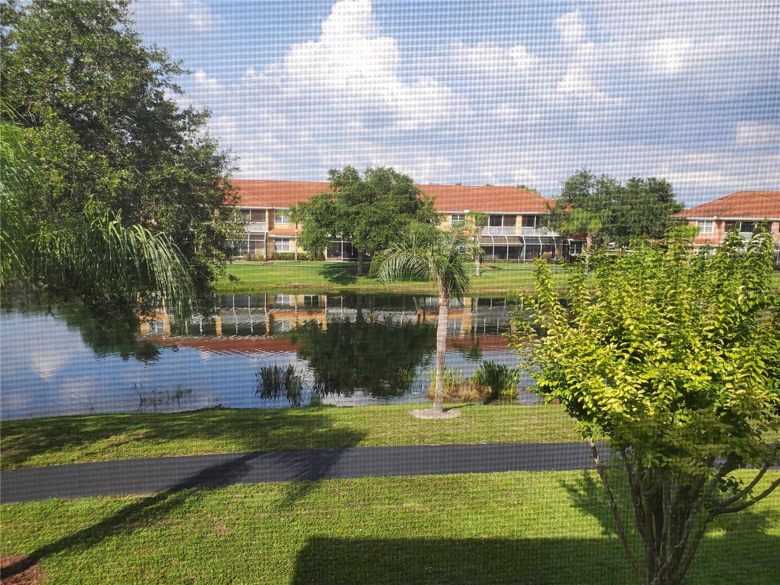 CALIENTE APTS CONDO - Residential