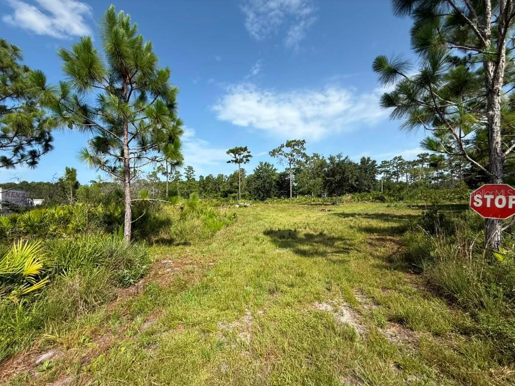 ACREAGE & UNREC - Land