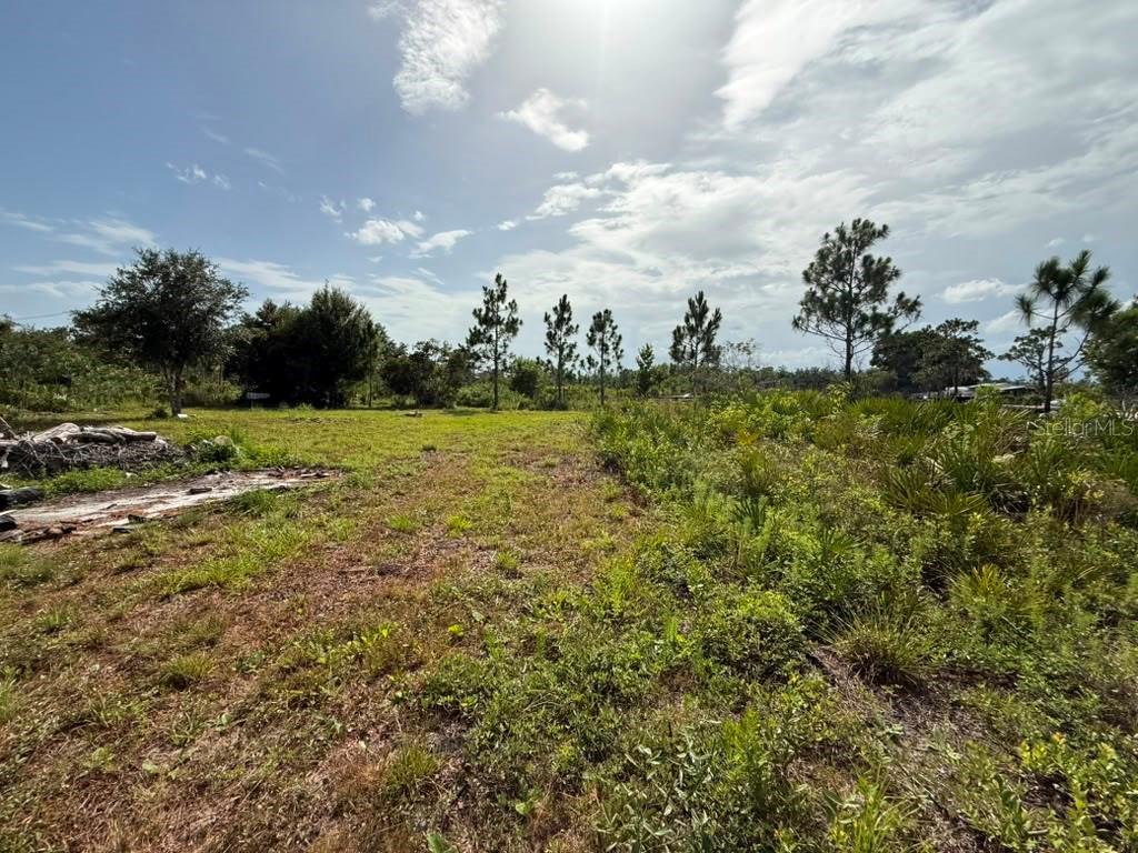 ACREAGE & UNREC - Land
