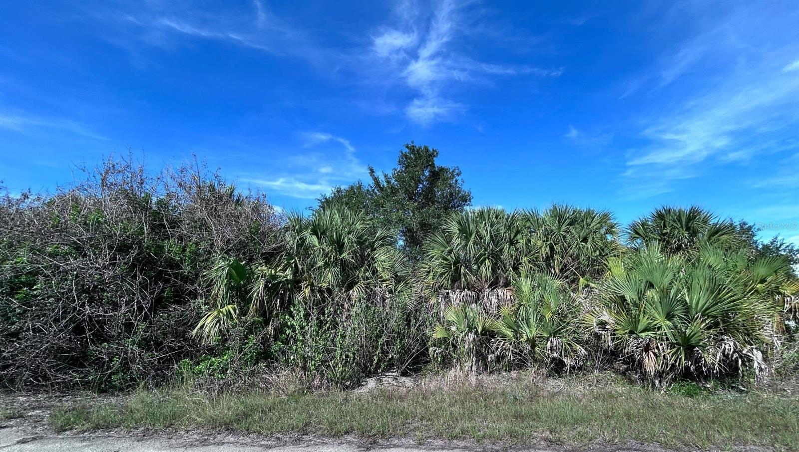 Looking to add to your investment portfolio? Ready to build your dream home? Located near the RV Griffin Reserve, a 2,485-acre preserve with pine flatwood views & 21 miles of hiking, biking & horseback riding trails. Close to I-75, a short drive to shops, restaurants, parks and gulf coast beaches! Enjoy the Florida lifestyle with an abundance of outdoor activities, world class beaches, boating, golfing and more. No HOA, no CDD fees! Not in a flood zone! All offers must be submitted in writing.