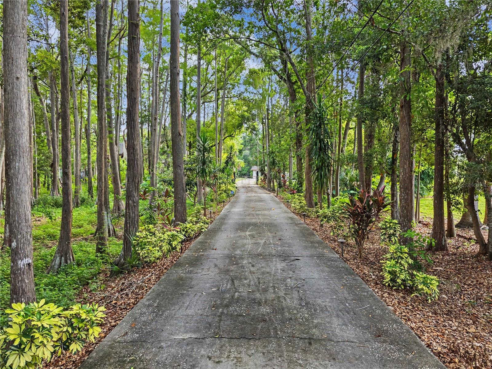 OAK RIDGE - Residential