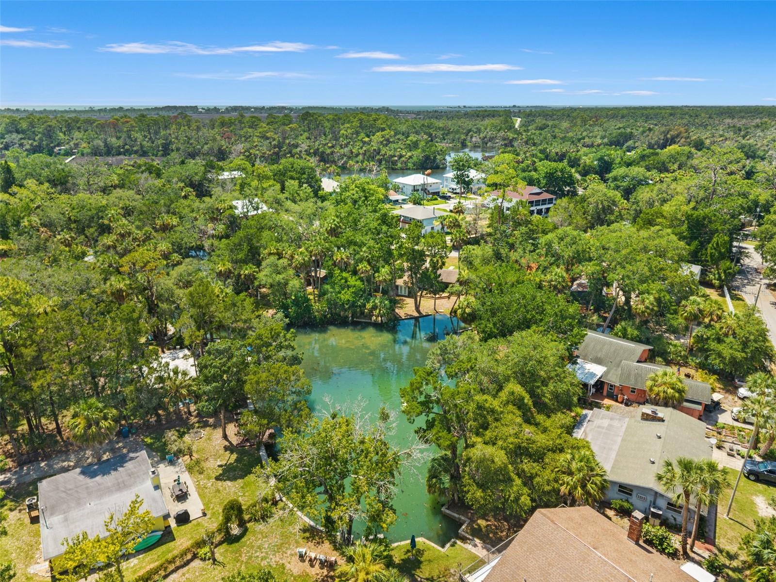 PALM GROVE COLONY - Residential