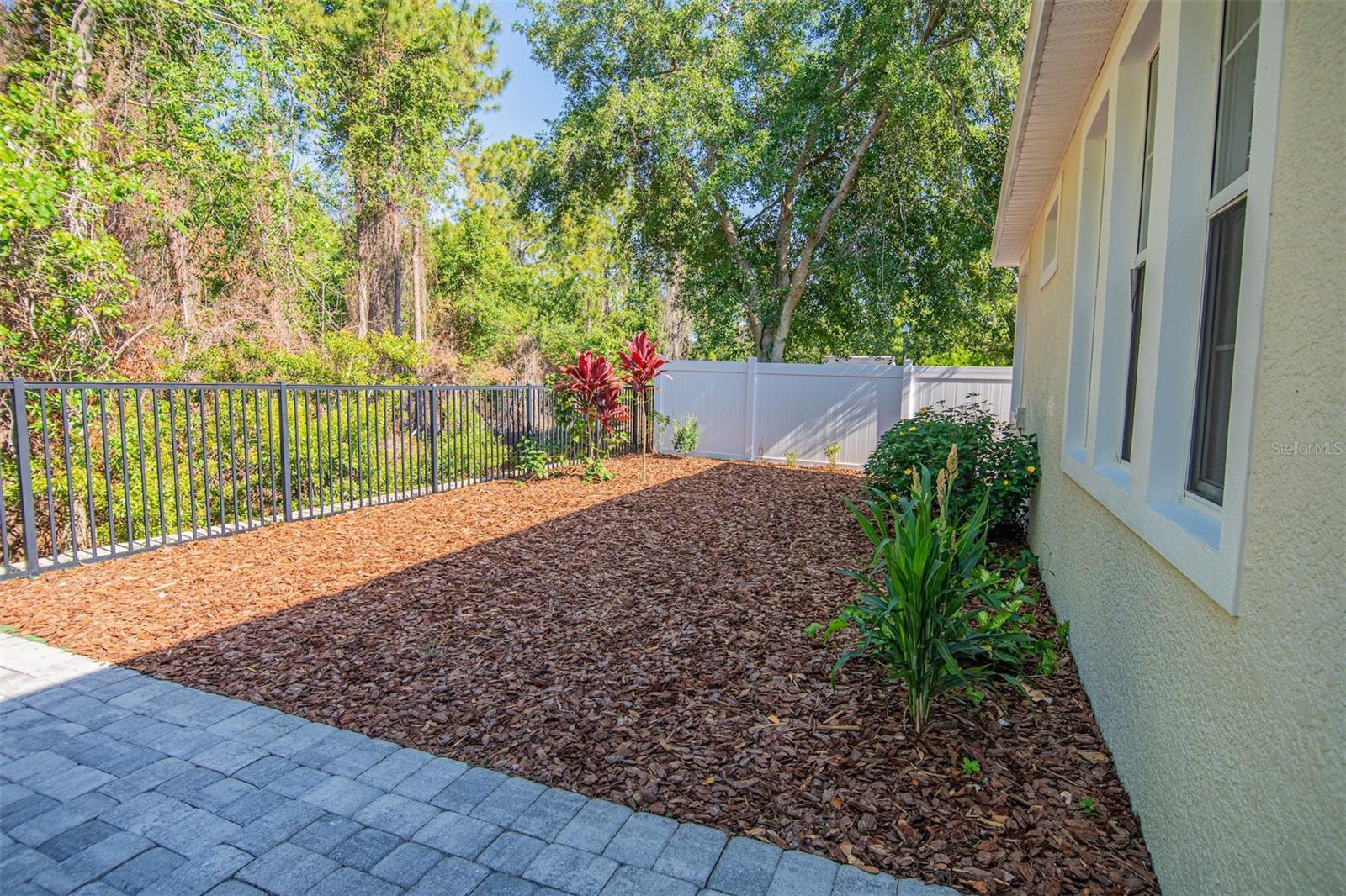 MORNINGSIDE AT LAKE NONA - Residential