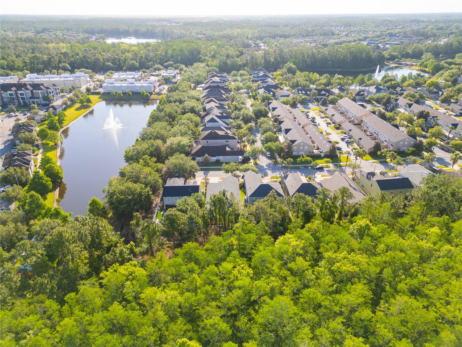 MORNINGSIDE AT LAKE NONA - Residential