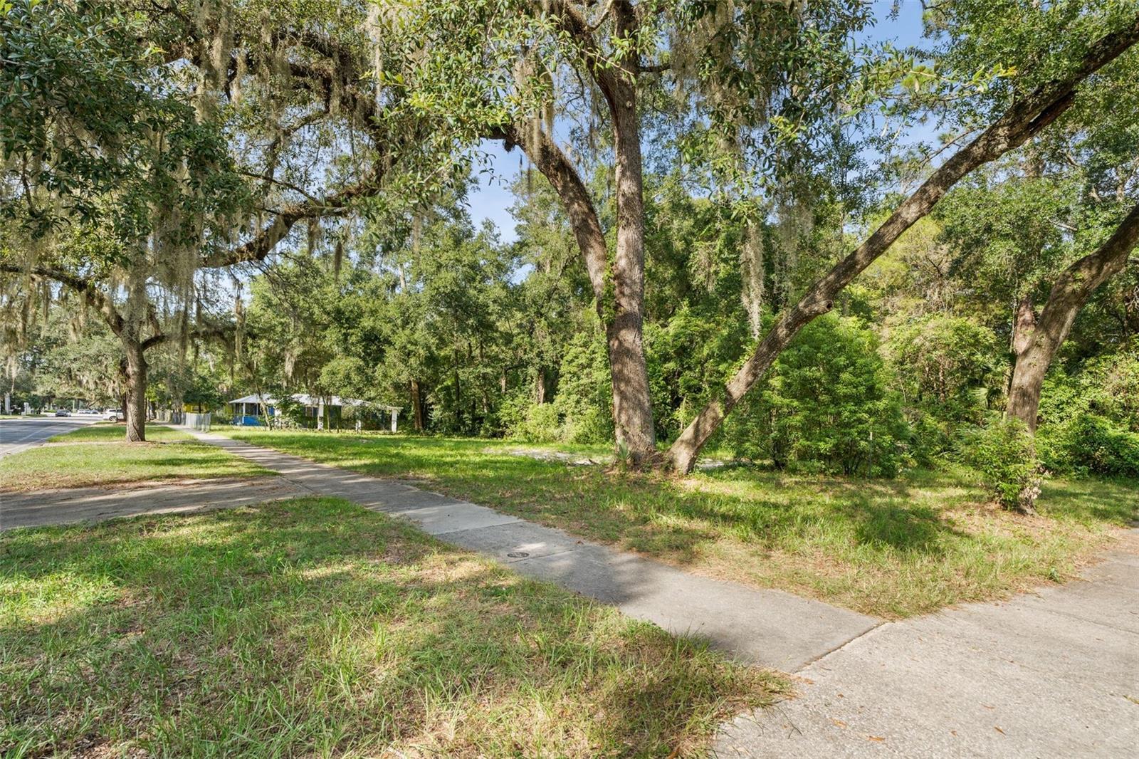 NEW GAINESVILLE REP - Land