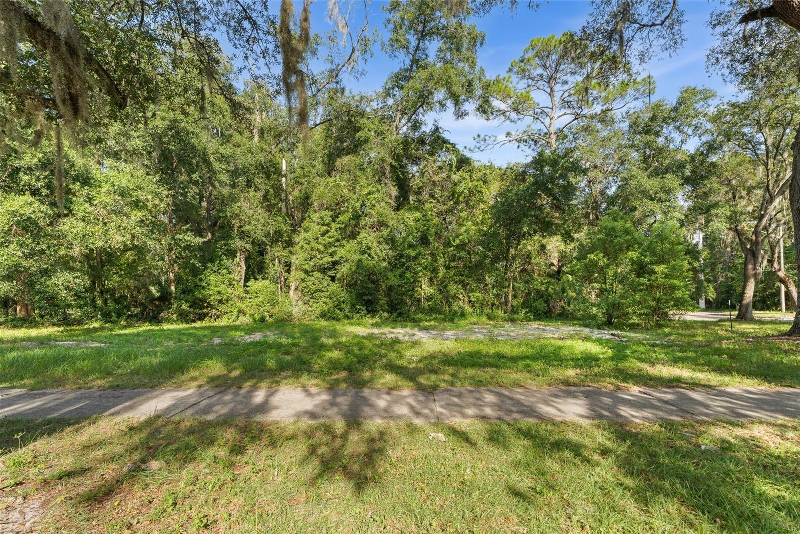 NEW GAINESVILLE REP - Land