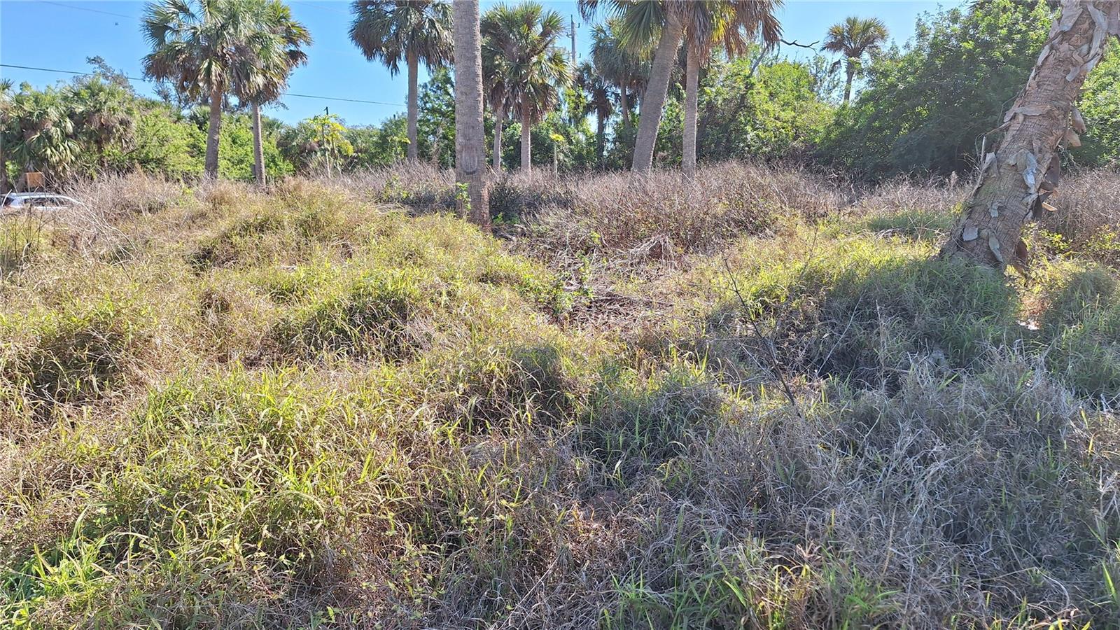 80 FEET OF FRONTAGE ON THE PELLAM WATERWAY, Cleared lot and ready for your water front home. No HOA and no deed restriction. Public water available. Short distant to Spring Lake Boat Ramp and Port Charlotte Beach Complex. Easy access to Tampa Bay Rays' spring training, bird watching, Gulf beaches, shopping and restaurants.