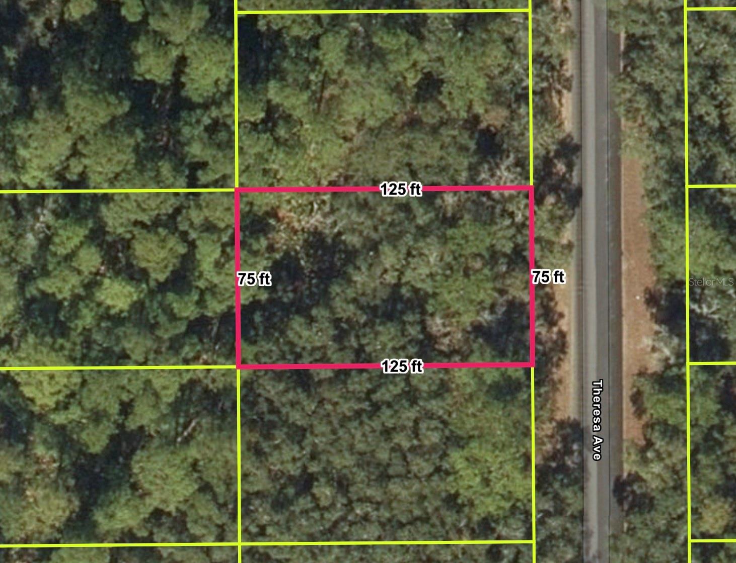 Prime Investment Opportunity in Interlachen Lakes Estates! Discover this serene residential lot nestled in the heart of Putnam County, just 20 minutes from Palatka and an hour from Gainesville. Perfect for investors or those seeking a peaceful retreat, this property offers a "flexible residential zoning" with NO HOA fees and exceptionally low annual property taxes (approx. $190/year).

As Florida continues to lead the nation in migration and international investment, this area stands out as one of the state's most affordable emerging markets. Located within a "Tax Opportunity Zone" and part of the Jacksonville Metropolitan influence, this lot provides a high-upside, low-entry-cost strategy for long-term appreciation or a future custom home. Surrounded by lush forests and pristine lakes, it’s a nature lover’s paradise with easy access to I-95 and I-75. Secure your piece of the Sunshine State today!