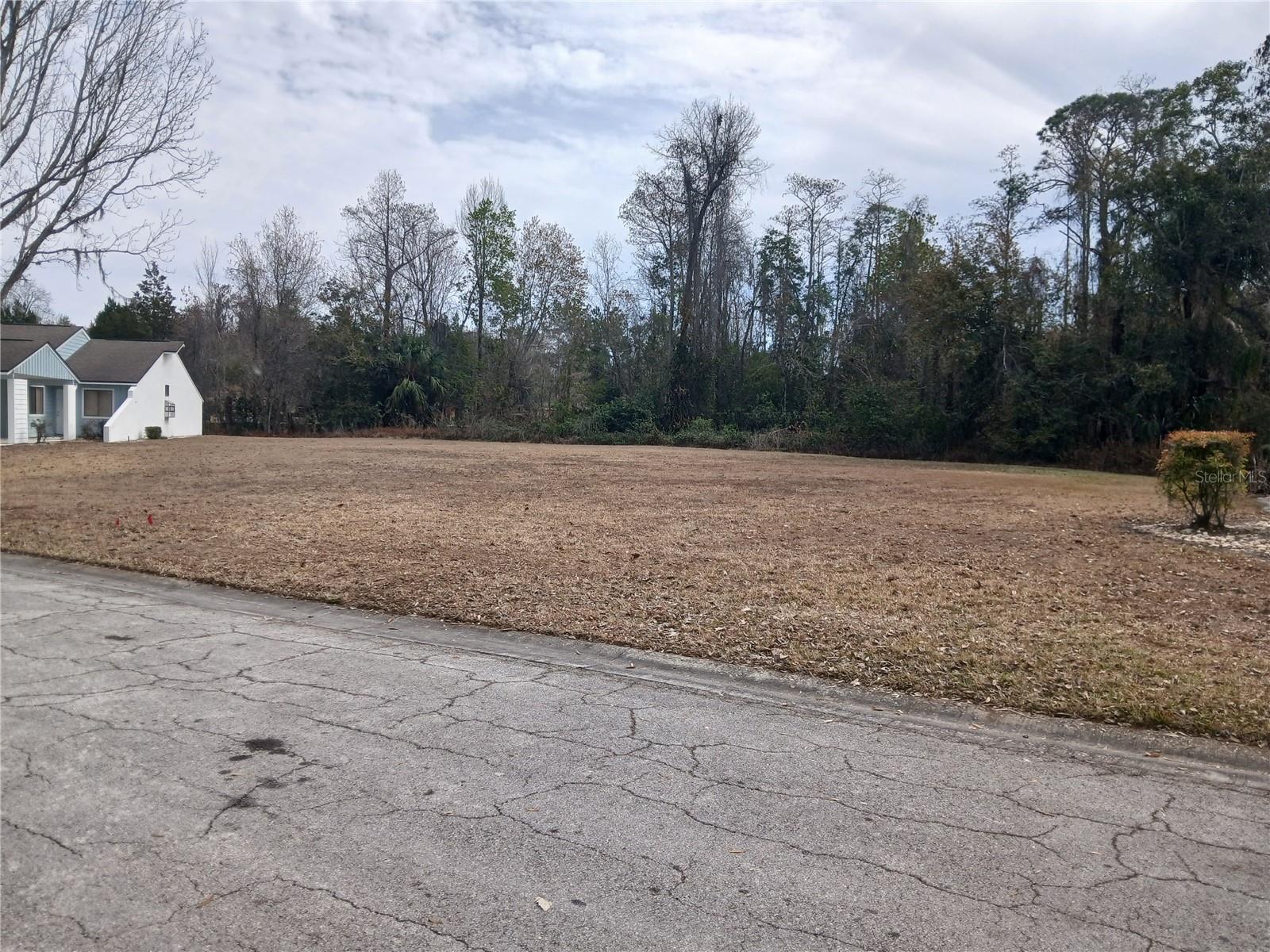 Location!! Location!! Location!! UNIQUE OPPORTUNITY!! Investors, Builders, Developers. Four adjacent lots ready for construction. Polk County. You can build four homes, each with two or three bedrooms, like the ones right next door. The lot is cleared, treeless, and in a flood zone (X). Just across the street are Walgreens, McDonald's, Ross, a gym, restaurants, and a variety of other stores. Only two minutes away are the hospital, fire station, Walmart, Publix, gas station, banks, and schools. Take advantage of this great investment opportunity. Water, power, and sewer are available at the front of the lot, ready to connect. Motivated seller! If you have any questions or would like more information, please email or text. NOTE: THE LISTED PRICE  IS FOR ONE LOT.. ALL FOUR LOTS ARE SOLD TOGETHER, AND ALL FOUR MUST BE DEVELOPED. HOWEVER, THE BUYER IS RESPONSIBLE FOR MAKING ALL NECESSARY DUE RESEARCH BEFORE MAKING THE INVESTMENT. You can request more information by email, and I will send you plans and further details.