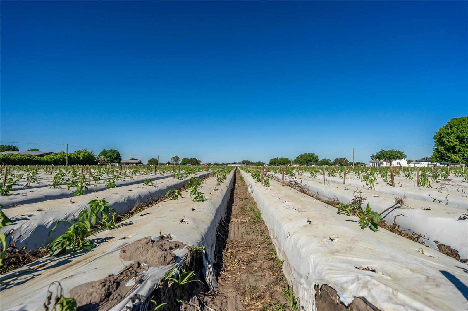 UNPLATTED - Land