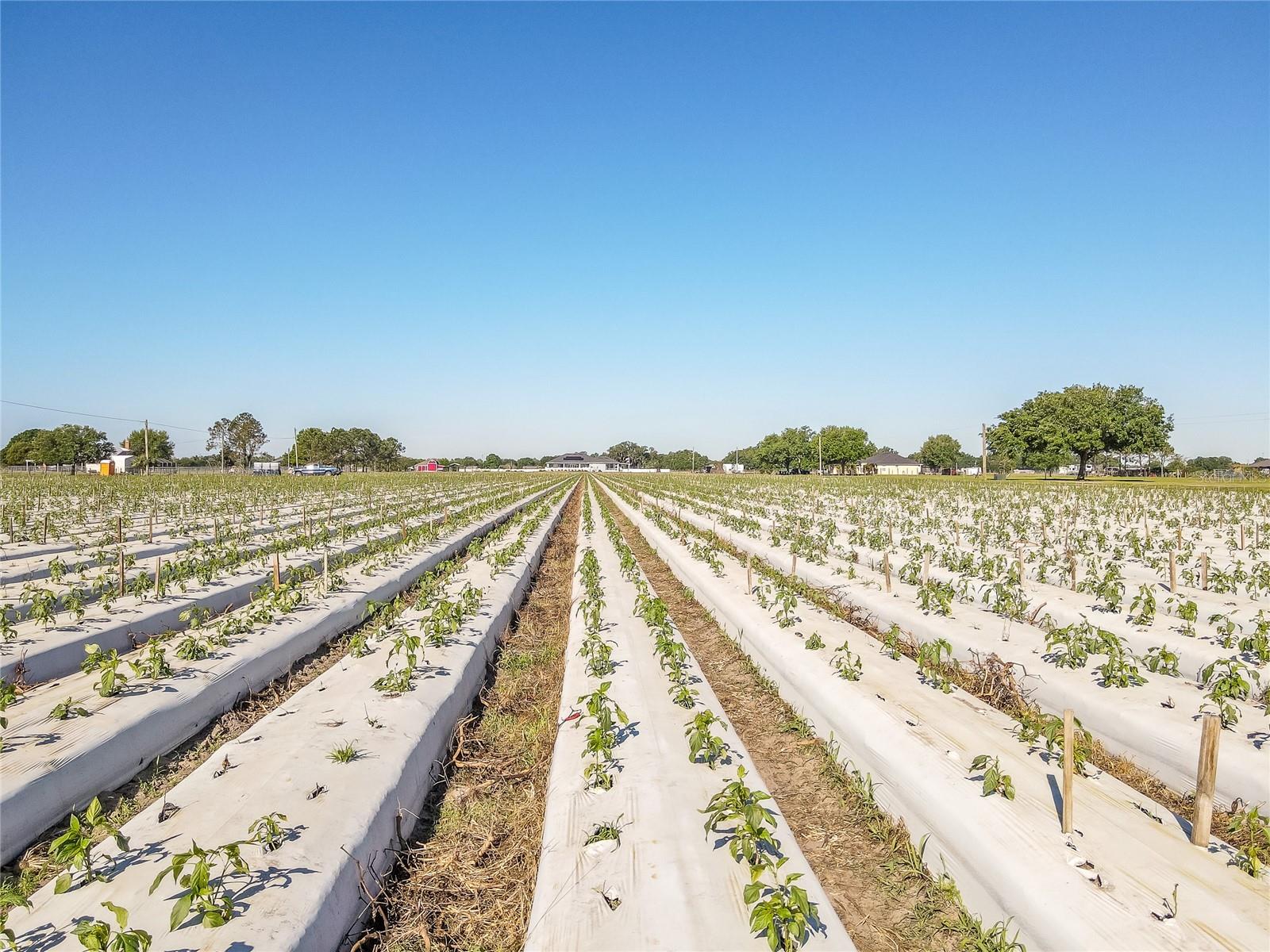 UNPLATTED - Land