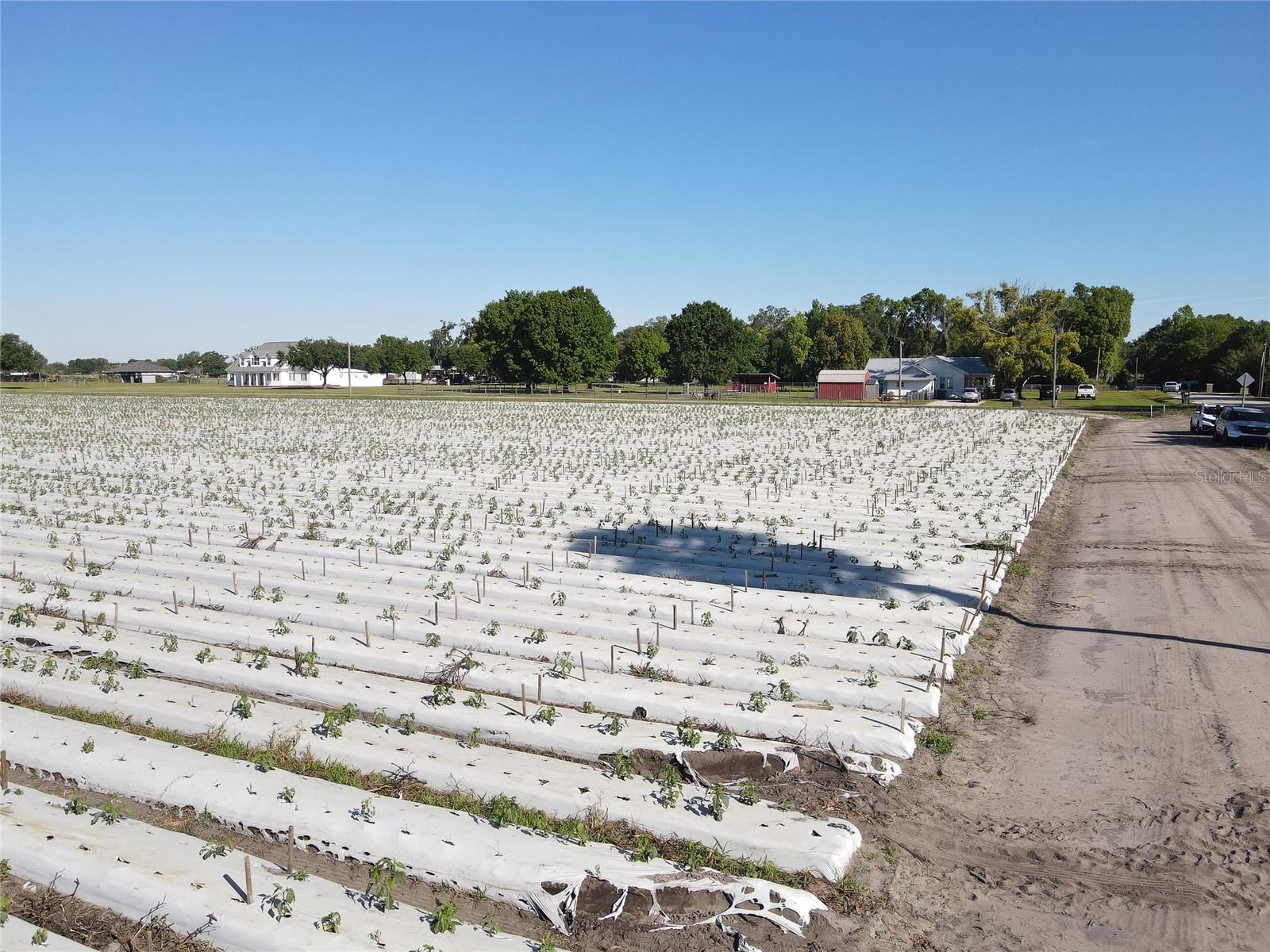 UNPLATTED - Land