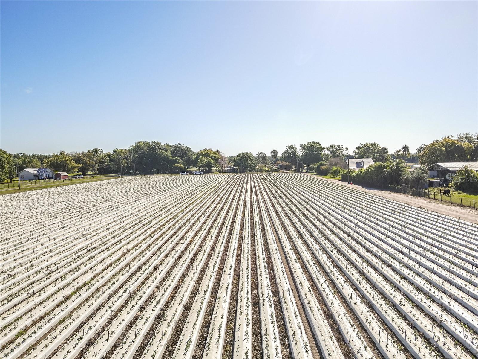 UNPLATTED - Land