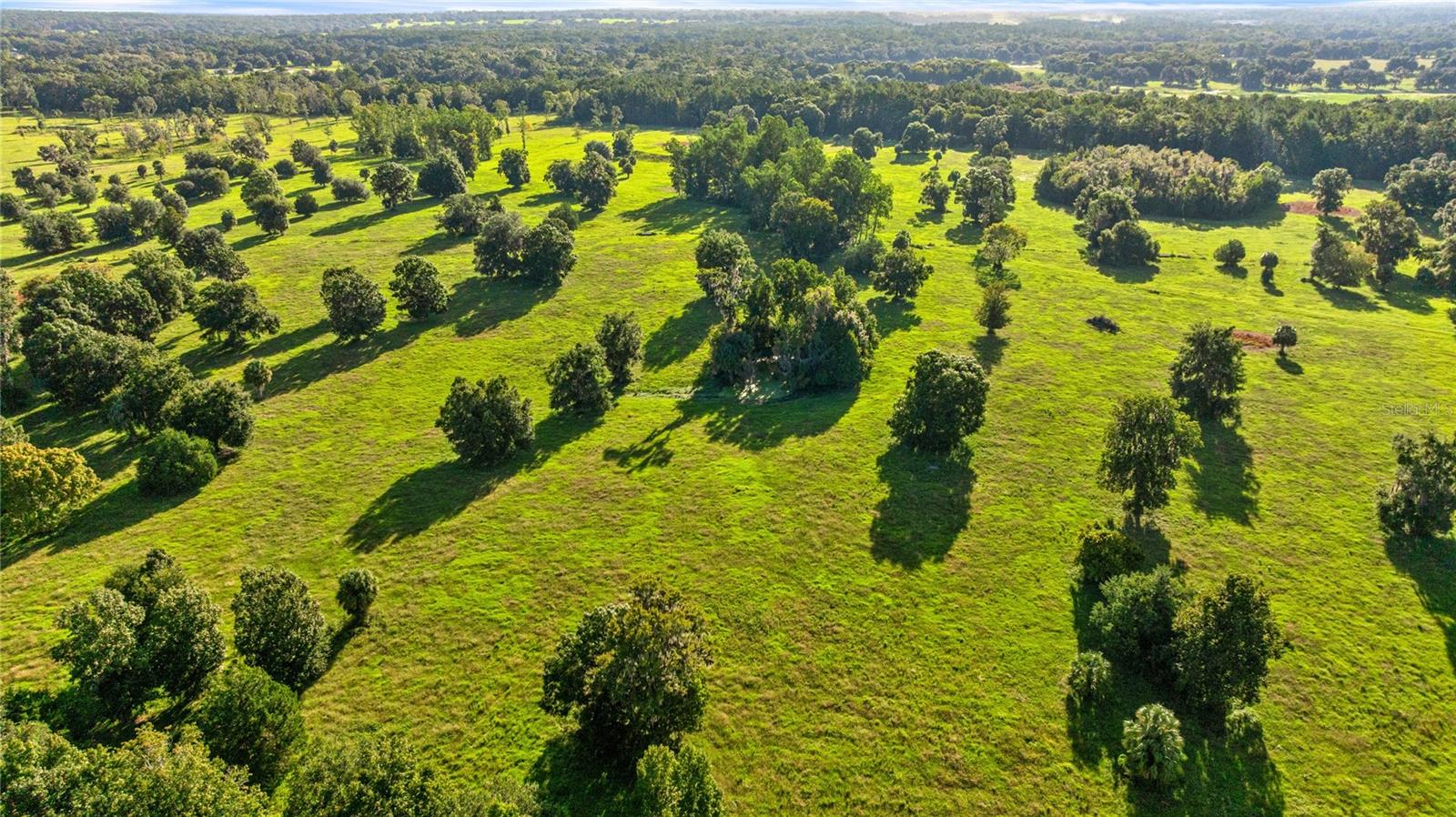 NON-SUB - Land