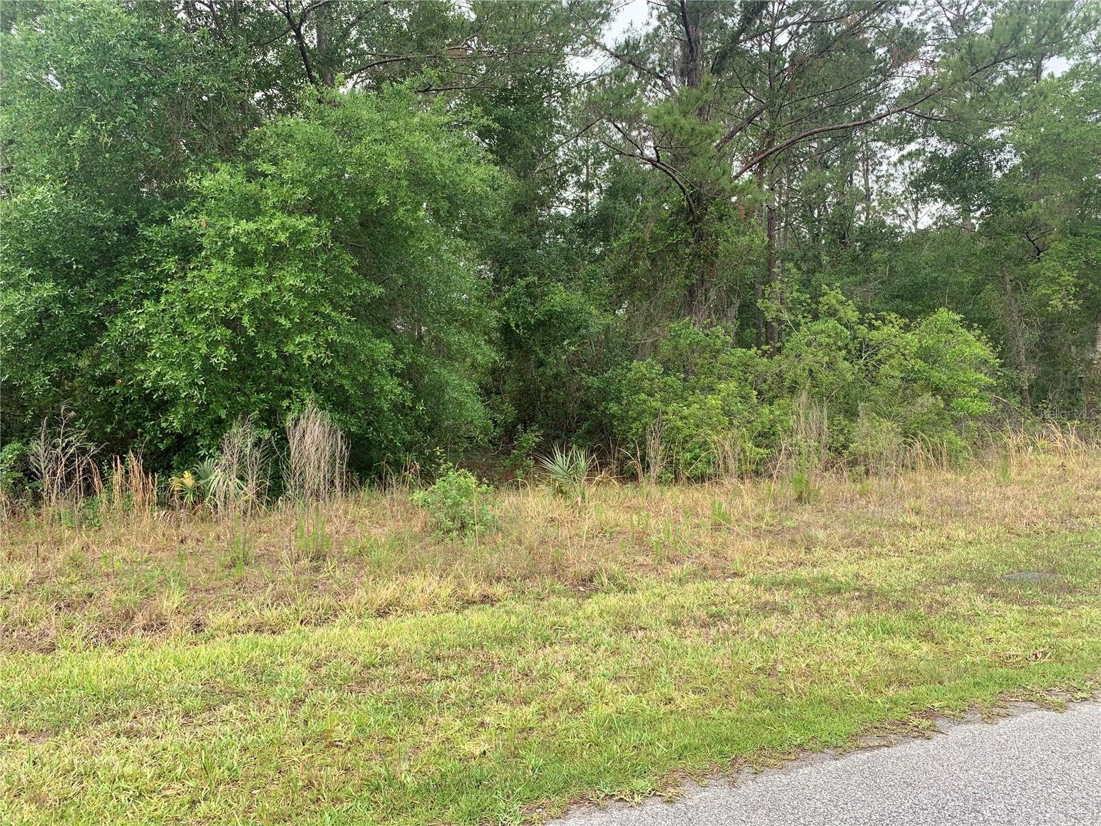 Vacant Lot in Golf & Country Club Estates – Across from St. Johns River

This .18-acre lot is nestled in the sought-after Golf & Country Club Estates, offering a unique opportunity for water enthusiasts and nature lovers alike. Located directly across from the St. Johns River, you’ll have easy access to boating, fishing, and a variety of water sports – including the ability to travel by boat to Silver Springs! Whether you're a fishing enthusiast or enjoy leisurely days on the water, this location is perfect for outdoor recreation.