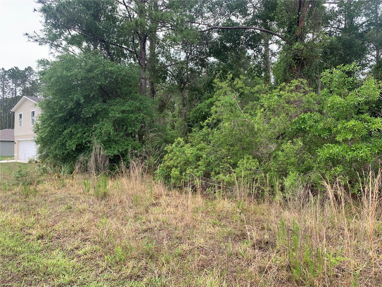 LIVE OAK GOLF & COUNTRY CLUB ESTATES - Land