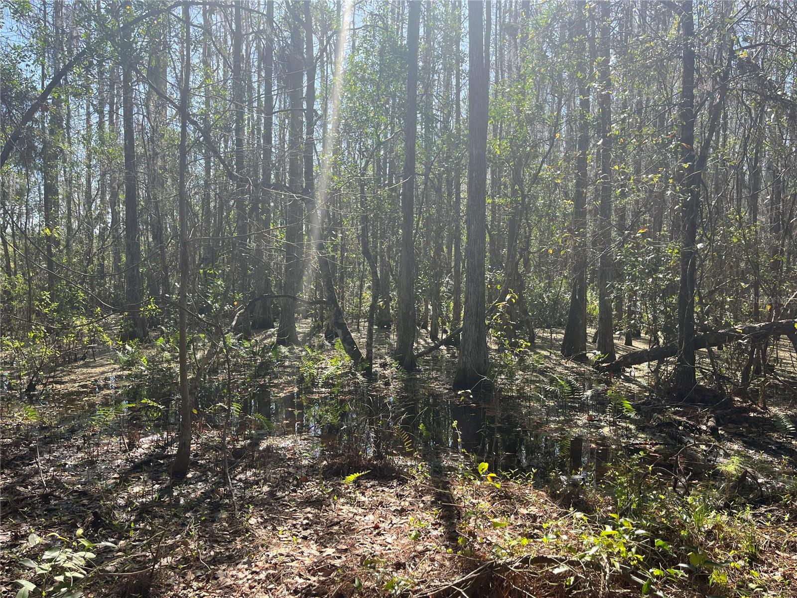 GROVELAND FARMS TR 51 TR 52 - Land
