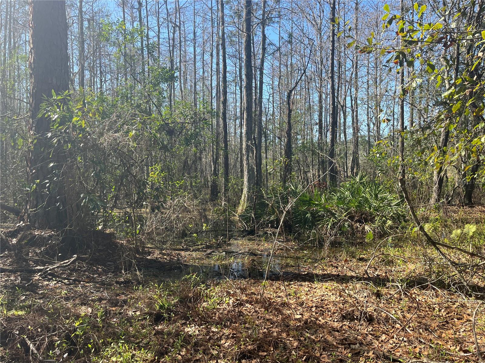 GROVELAND FARMS TR 51 TR 52 - Land