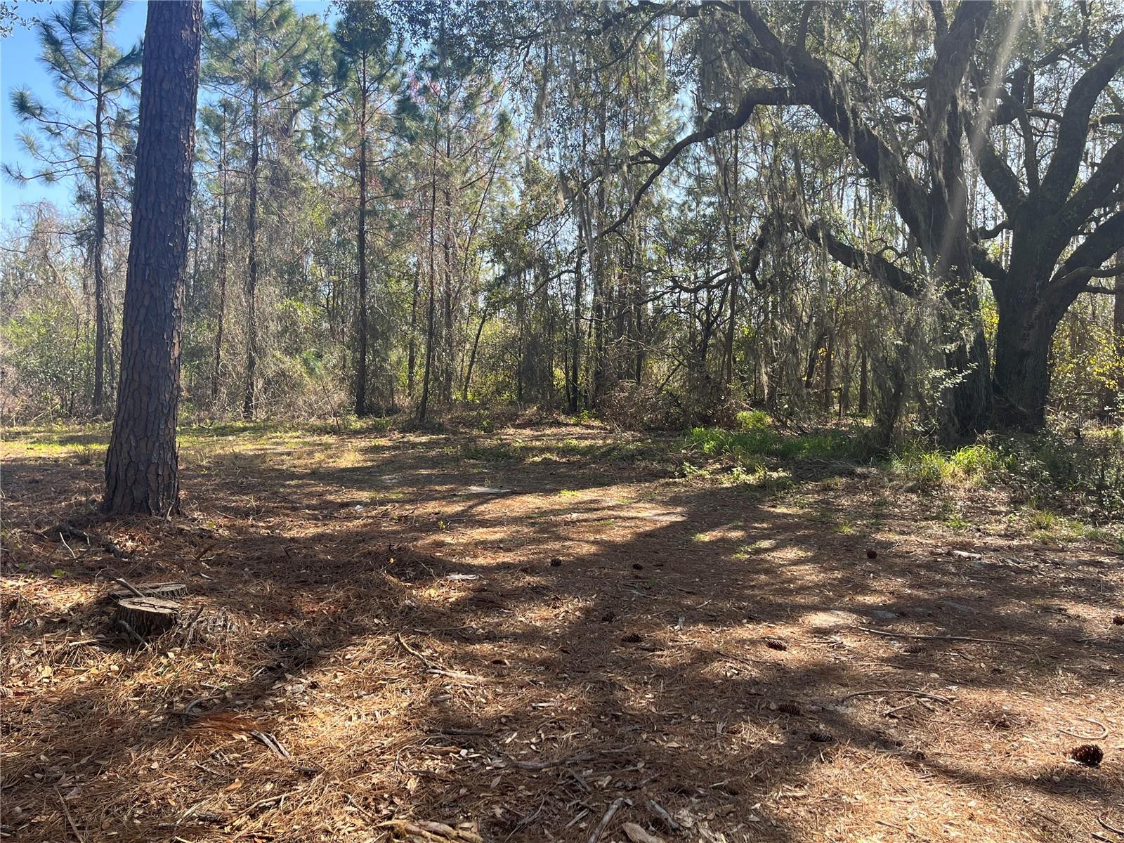 GROVELAND FARMS TR 51 TR 52 - Land