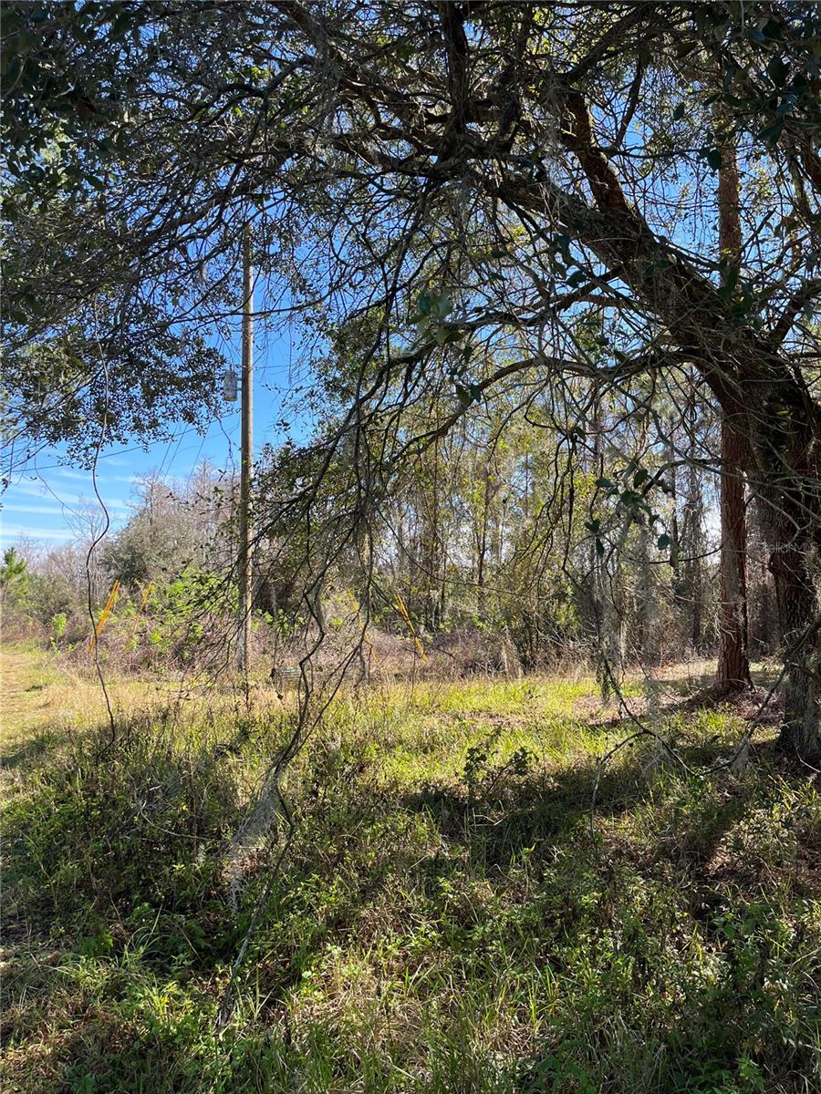 GROVELAND FARMS TR 51 TR 52 - Land