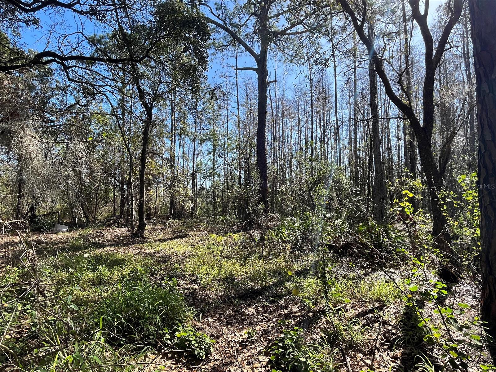 GROVELAND FARMS TR 51 TR 52 - Land