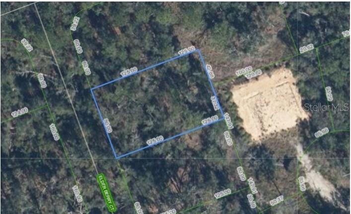 If you’re looking for an affordable slice of paradise, I've got something that could be perfect for you. Buy this 1/4-acre natural wooded lot located in the desirable Orange Blossom area, right between Sebring and Lake Placid. This area is renowned for its lush surroundings, peaceful atmosphere, and access to some of the most stunning lakes and nature reserves in Florida. Living in Highlands County offers the unique combination of tranquility with easy access to everything nature and outdoor enthusiasts lo gine waking up to the serene beauty of your own wooded lot, with an abundance of outdoor recreation right at your doorstep. This area is also home to a variety of exciting events throughout the year. You’ll be close to the 12 Hours of Sebring race every March, a major motorsport event that draws enthusiasts from all over. Plus, there’s the Caladium Festival in July, where you can enjoy live music, parades, and local culture. Lake Jackson and Lake June host frequent water sports competitions, and if you're into bass fishing, Lake Istokpoga is the place to be with frequent tournaments. Whether you're thinking of building your dream home or simply holding onto the land as an investment, this lot is a fantastic opportunity. With the growing interest in the area, it’s a prime location for appreciation. Affordable living in Highlands County means you can enjoy the paradise lifestyle without breaking the bank. And with events, natural beauty, and outdoor recreation, it’s easy to see why this is such an attractive spot for those looking for a getaway or permanent home. See for yourself why this is the perfect place for your next adventure.