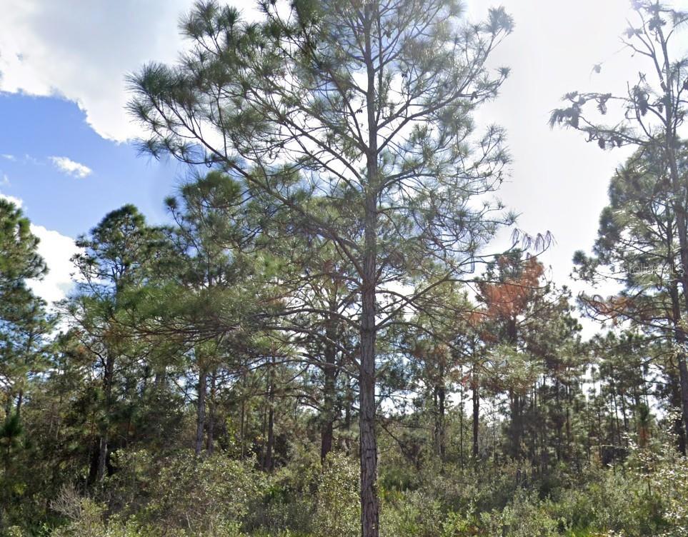 INDIAN LAKE ESTATES - Land