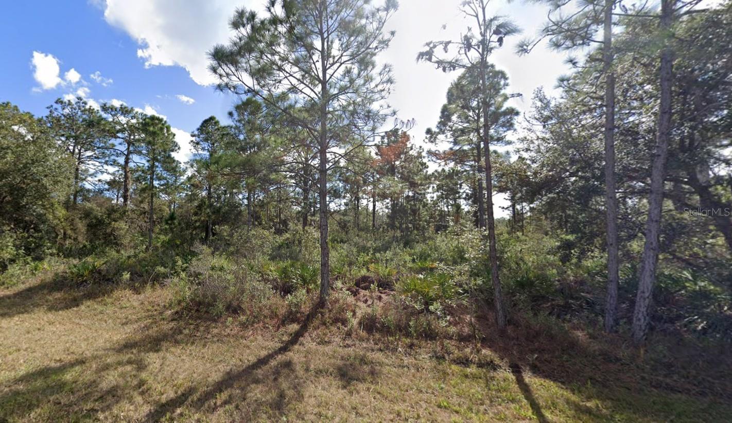 INDIAN LAKE ESTATES - Land