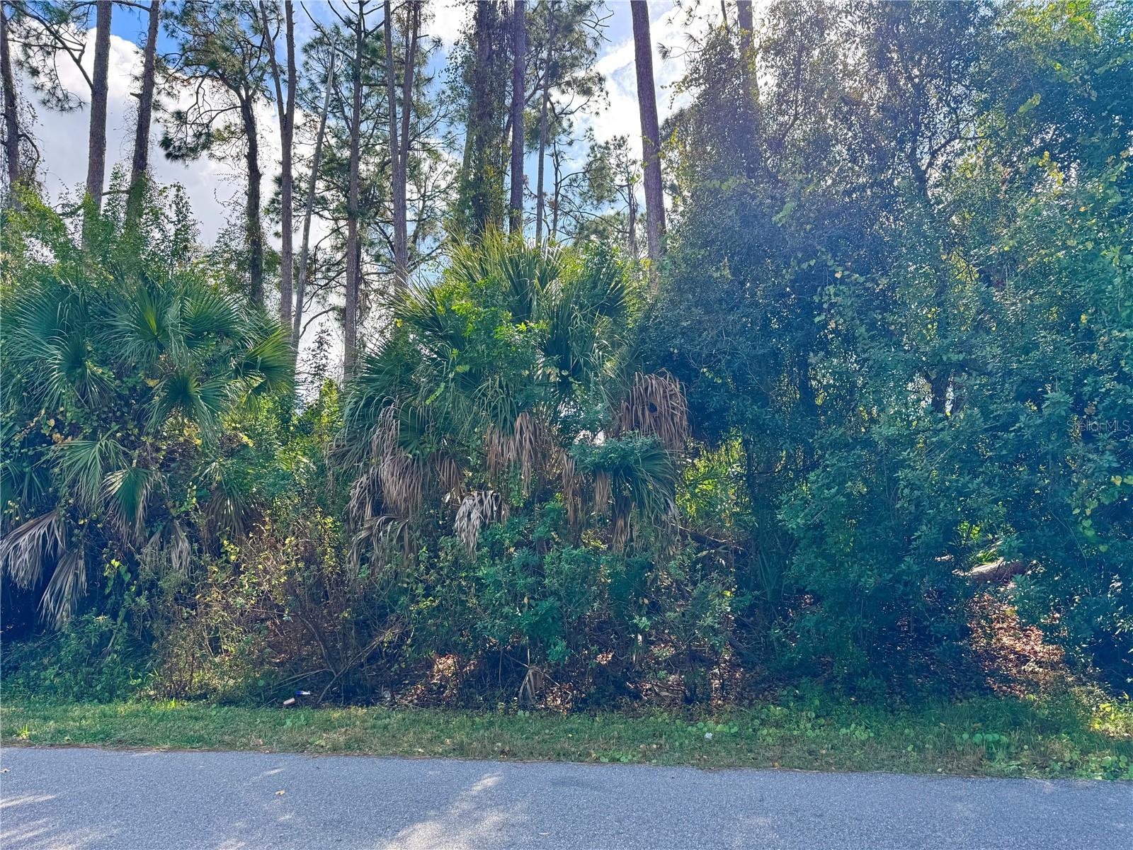 PORT CHARLOTTE SUB 19 - Land