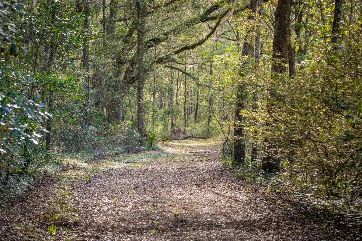 This property is the true definition of peaceful Florida living. Tucked away on 20 breathtaking acres and located just 11 minutes from I-75 and Hwy 441, this private retreat offers the perfect balance of seclusion and convenience. Hidden less than half a mile down a quiet dirt road, you’ll arrive by way of a picturesque driveway lined with mature natural hardwoods, instantly setting the tone for the serenity that awaits.
As you explore the property, you’ll discover a beautifully cleared homesite nestled well back from the roadway, offering privacy and endless possibilities for your future dream home. With a well and power pole already in place, much of the groundwork has already been started for you. An added bonus—the previous mobile home has already been removed, creating a valuable reduction in future impact fees when you build or bring in a new home.
Two spacious carports are ready to shelter your RV, boat, equipment, or other investments from the elements, while the large shed provides the ideal setup for storage, hobbies, or a workshop space.
Nature lovers will fall in love with the incredible towering Granddaddy Live Oak trees that are scattered throughout the property, creating a stunning canopy and the perfect habitat for local wildlife. Deer, wild turkeys, songbirds, and countless native species call this land home, making every walk through the property feel like a peaceful escape into natural Florida beauty.
Cleared walking paths wind throughout the acreage, inviting you to explore and imagine the possibilities—whether it’s building a private estate, creating a family retreat, establishing a mini-farm, or simply enjoying the tranquility of nature.
Properties like this are becoming increasingly rare—large acreage with privacy, existing improvements, abundant wildlife, and easy access to major highways. Come experience the beauty, quiet, and potential of this exceptional property today.