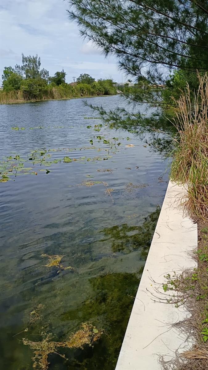 CAPE CORAL - Land