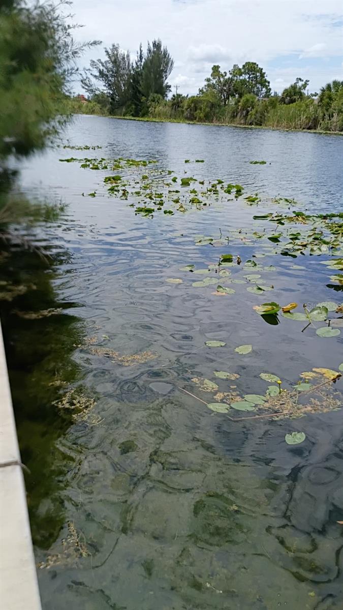 CAPE CORAL - Land