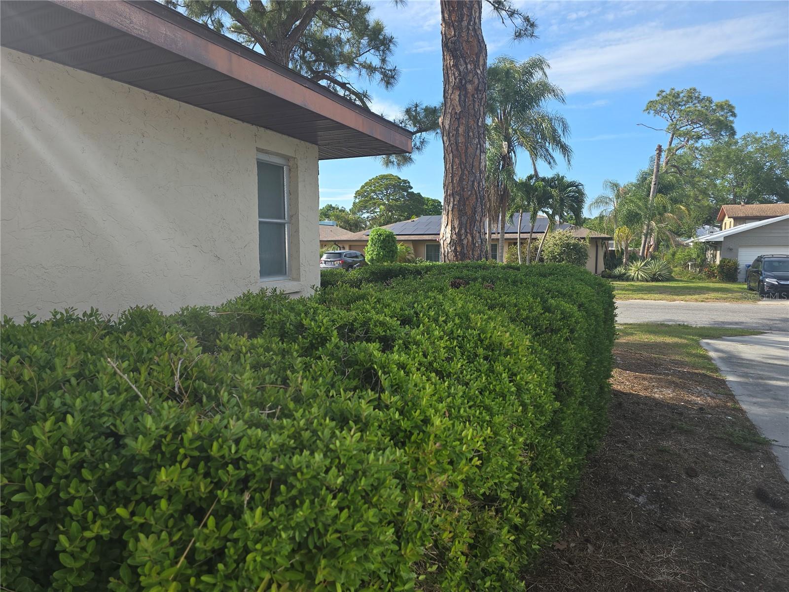 HARBOR WOODS - Residential