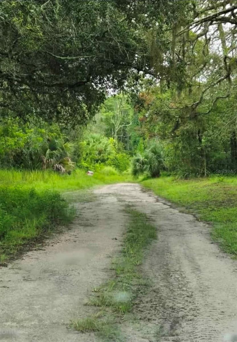 MOON LAKE ESTATES REP - Land