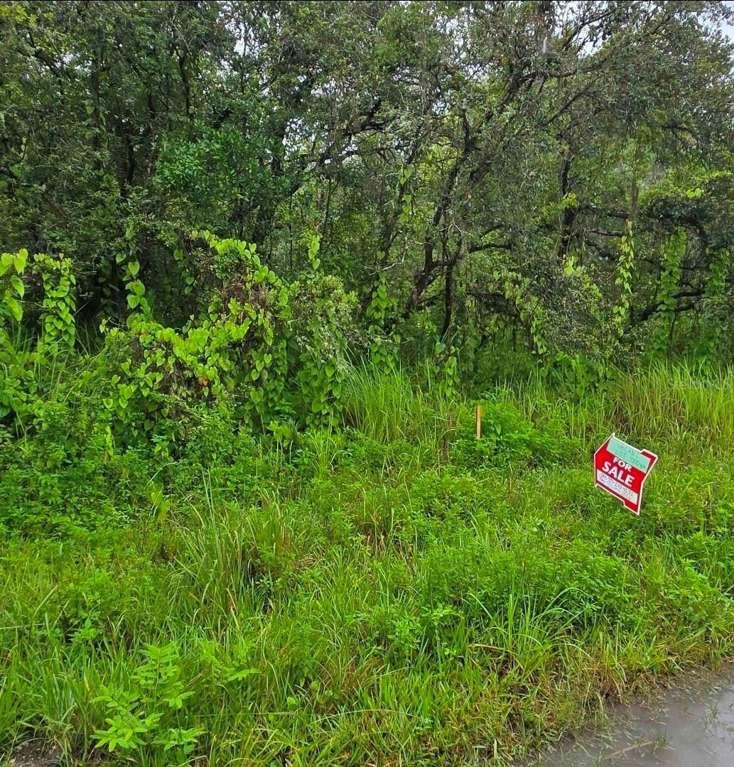 MOON LAKE ESTATES REP - Land