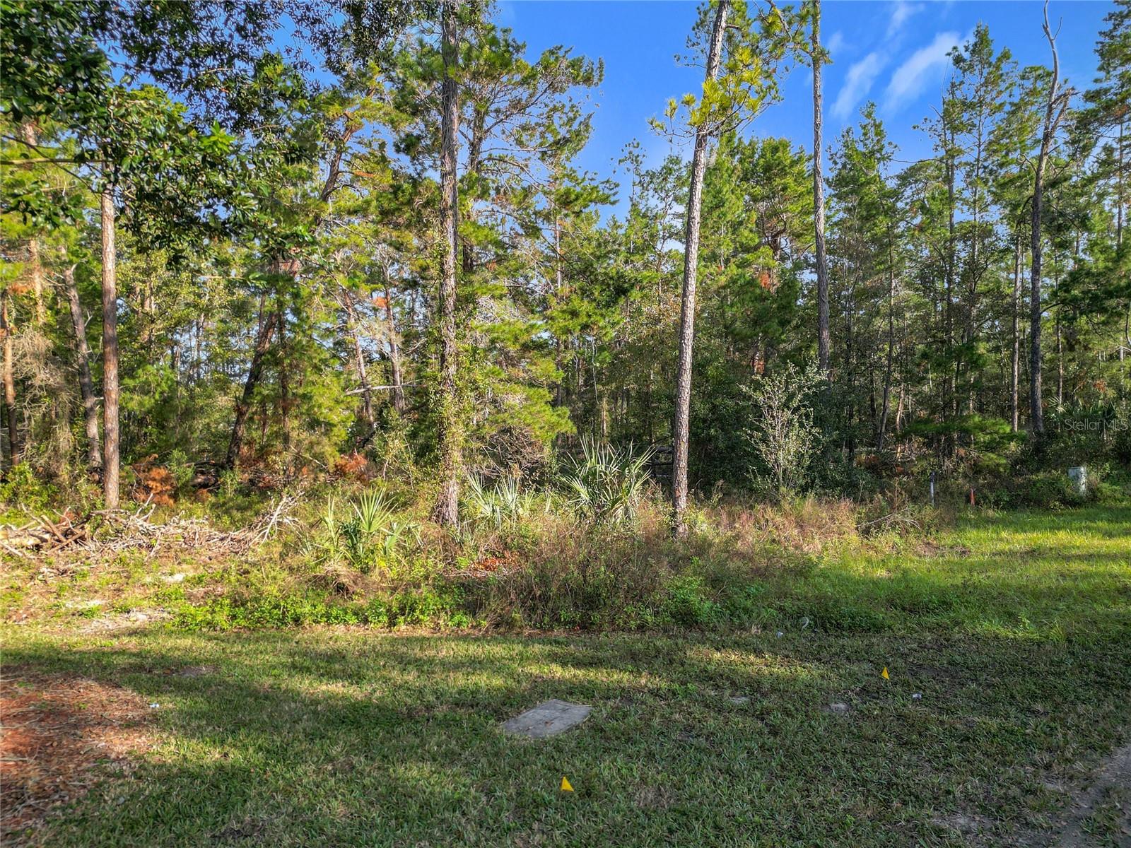 SUGARMILL WOODS OAK VILLAGE - Land