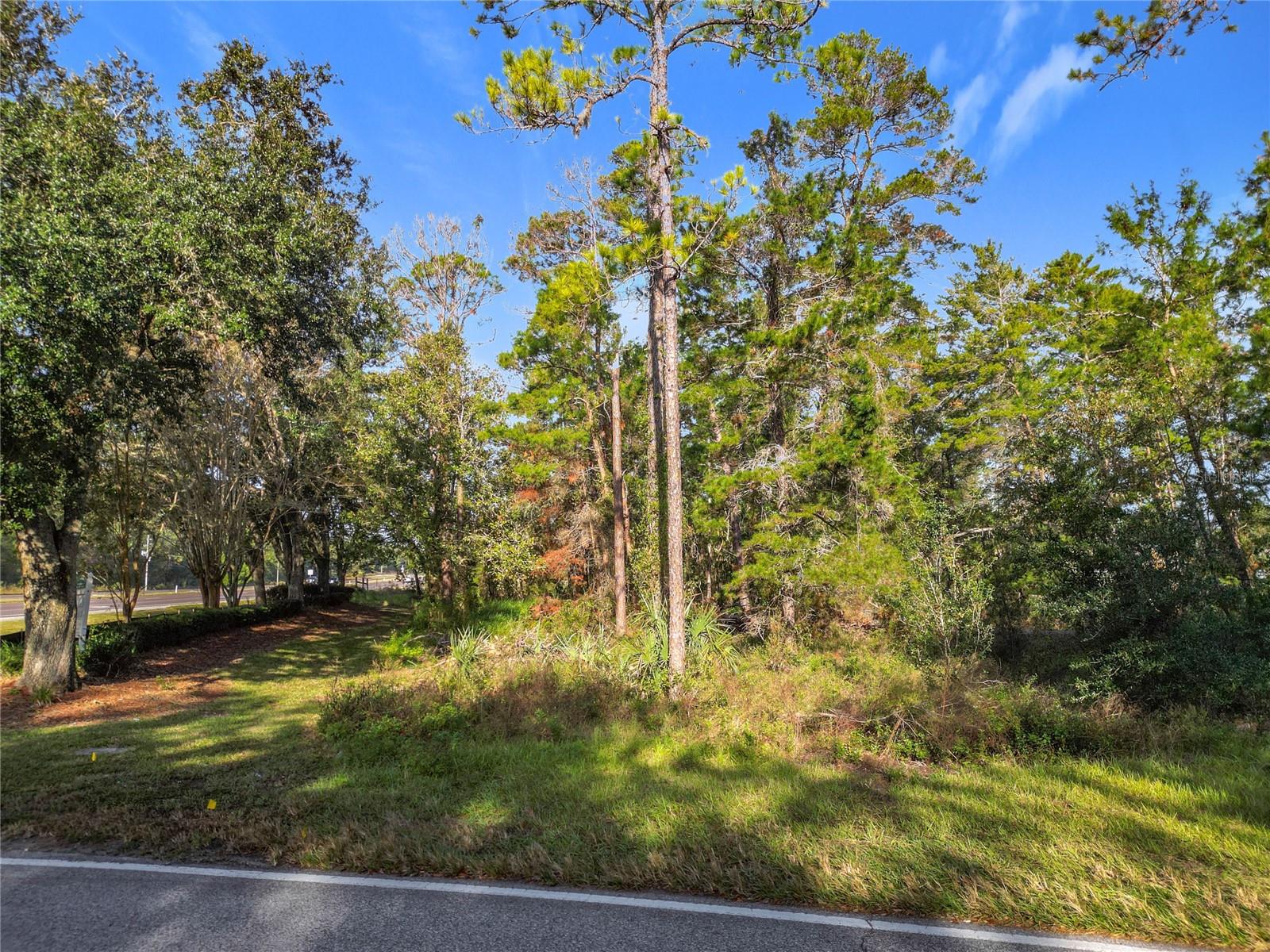 SUGARMILL WOODS OAK VILLAGE - Land