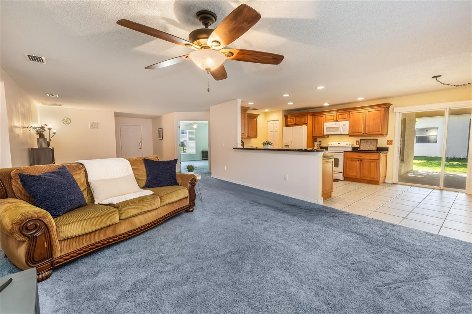 PALM COAST SEC 60 - Residential