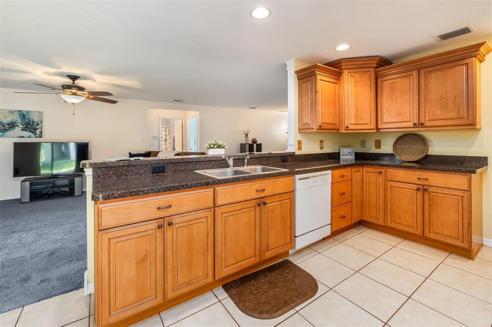 PALM COAST SEC 60 - Residential