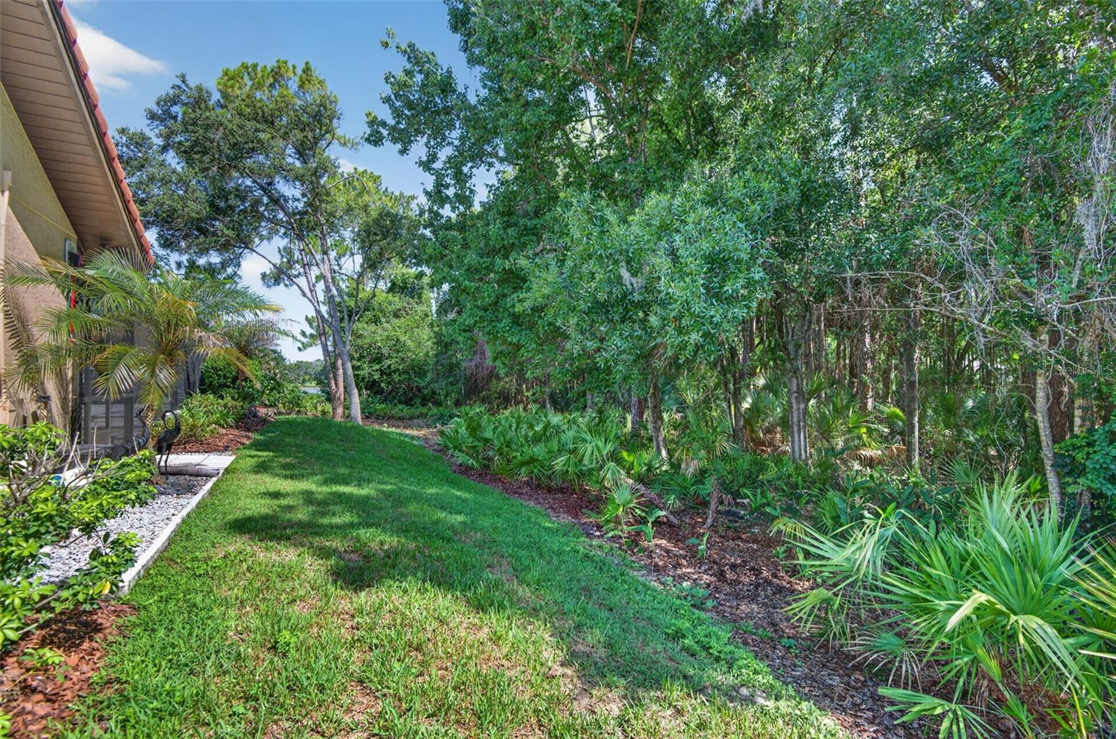 HUNTER'S GREEN - Residential
