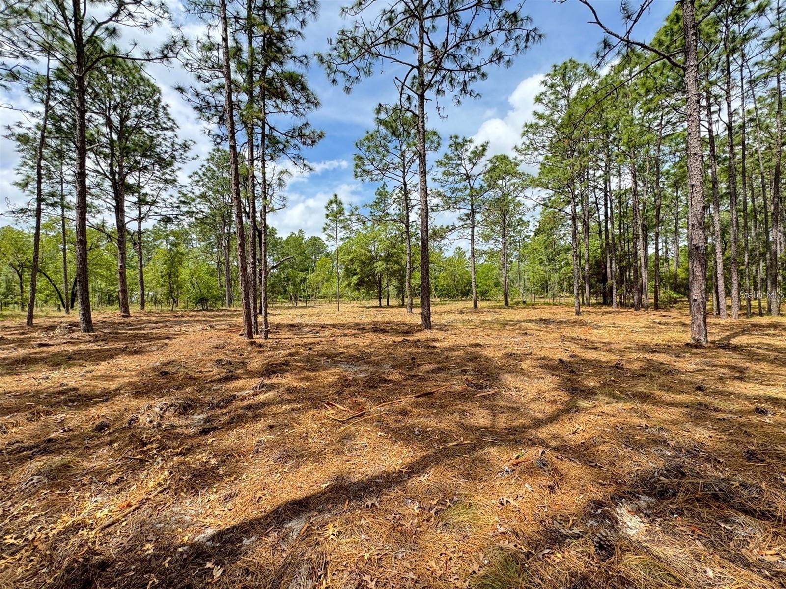 RAINBOW LAKES ESTATE - Land