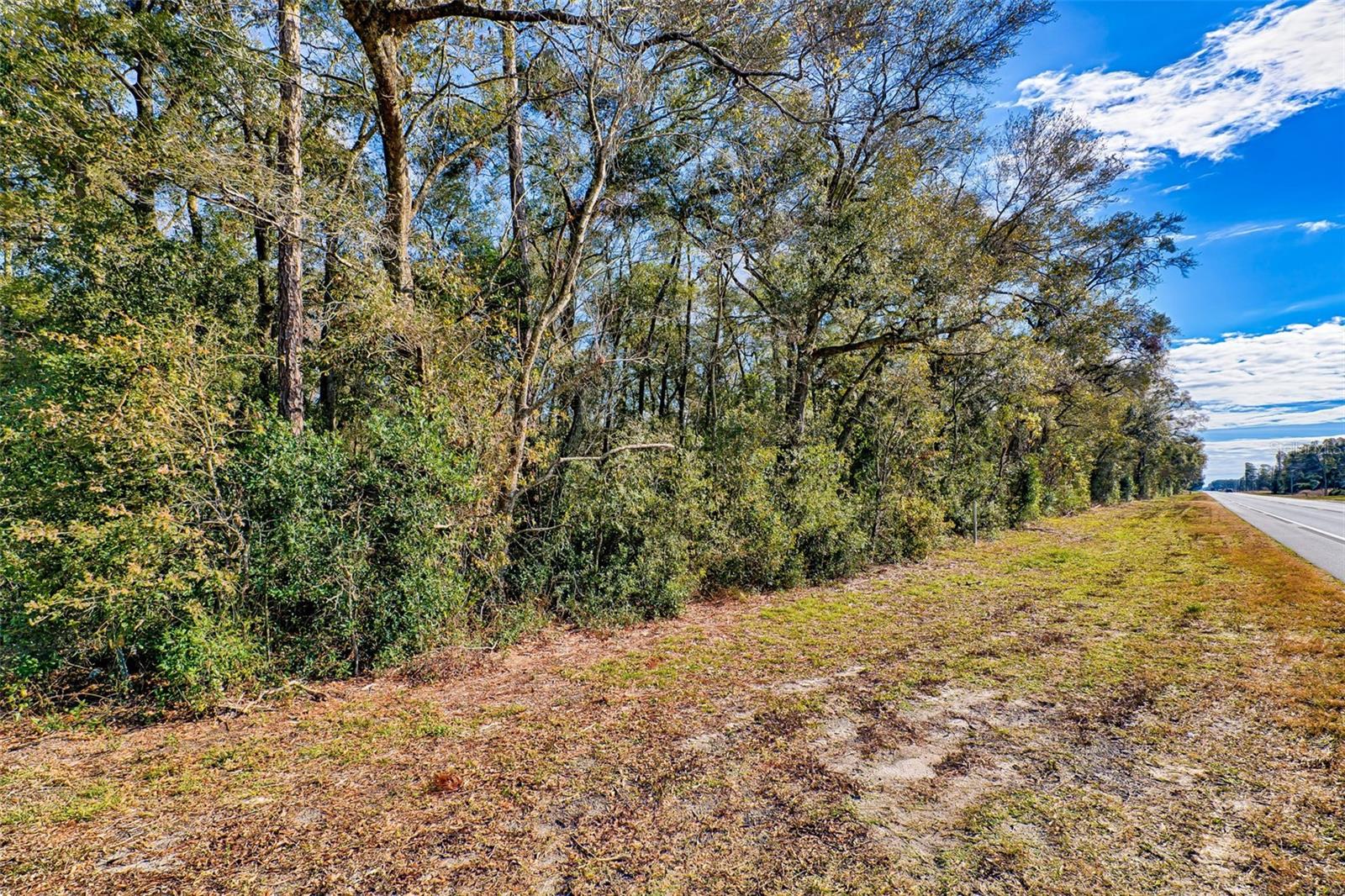 Nearly 8 Acres lot for Sale. Location  offering the potential to expand your estate portfolio or create an investment opportunity. Enjoy easy access to world-famous springs, perfect for swimming, kayaking, and outdoor adventures for all ages.  Don’t miss this rare opportunity—schedule your showing today! Zoned  agricultural. Can be purchased with the adjacent Property Lot S5153611