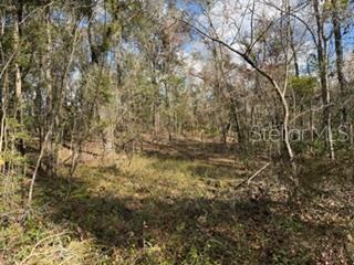 NEARLY 10 ACRES of private, wooded land offering a peaceful natural setting with abundant hardwoods, seasonal pond and frequent wildlife! The property is tucked away in Gil Crest Farms and backs up to several larger tracts of land promoting native turkey, deer, hogs and other woodland critters to be spotted here. This secluded property provides an excellent opportunity to build your dream home or place a manufactured home, allowing flexibility to suit your needs. Enjoy the serenity of NATURE, PRIVACY and ROOM TO SPREAD OUT, all while owning a sizable tract of land with great potential. Ideal for those seeking a quiet retreat, recreational use, or a future homesite surrounded by natural beauty. Located in Gilchrist County with low property taxes and "A" rated schools. Approximately 2 miles off US HWY 129 and CR 232 for easy access to Bell, Trenton, or Newberry/Alachua/Gainesville. Call today for more information!
