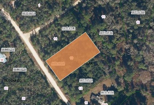 Build your dream home or weekend retreat on this beautiful 1.03 acre lot in the Plantation Pines community! This unimproved property offers endless potential and a peaceful, wooded setting just minutes from Lake George and the St. Johns River which is perfect for fishing, kayaking, and boating enthusiasts. Enjoy quiet country living with convenient access to Orlando, St. Augustine, and Jacksonville. Don’t miss your chance to own a piece of paradise and create the Florida lifestyle you’ve always dreamed of!