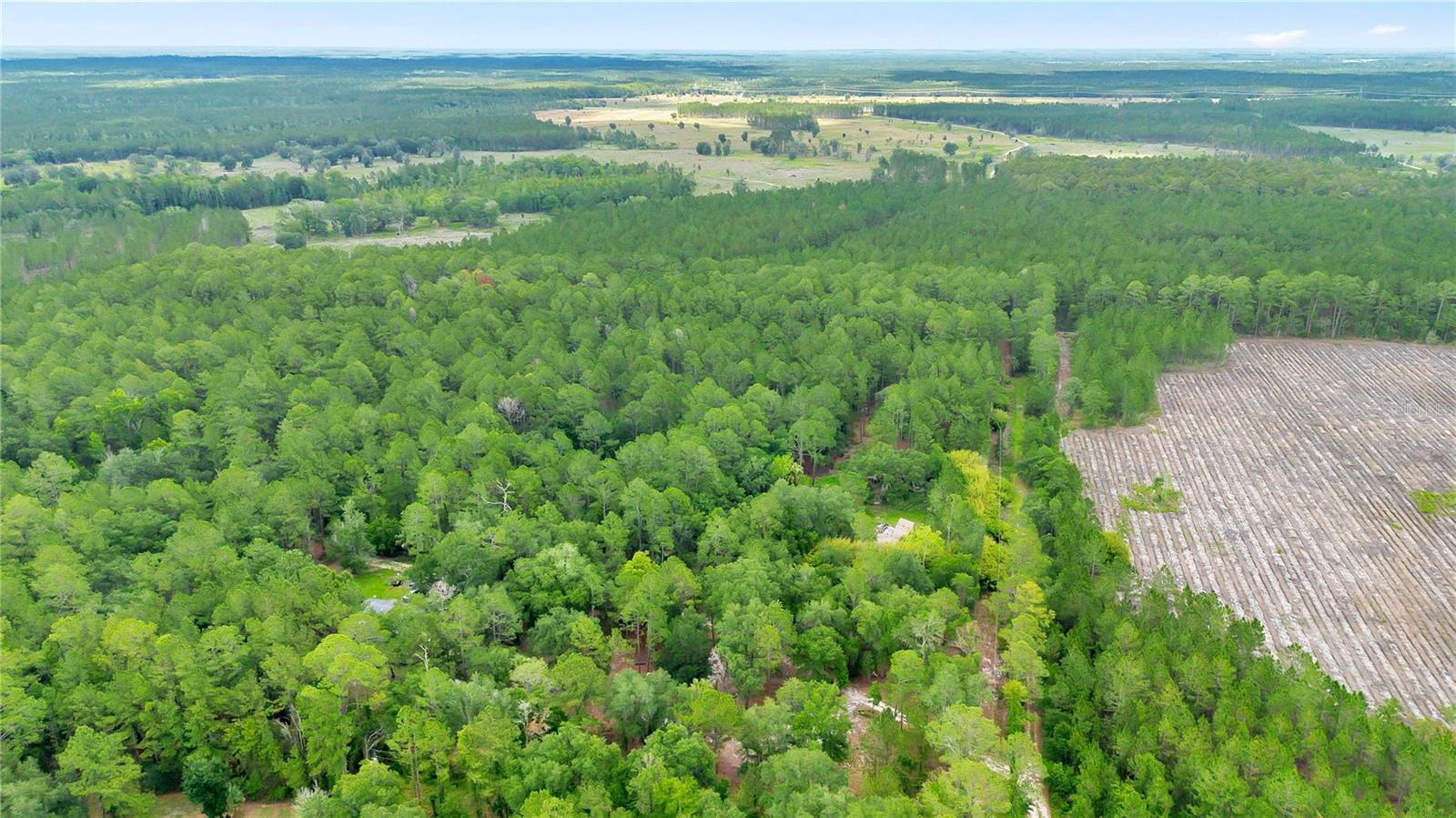 BLACK SINK CAMPSITES - Land