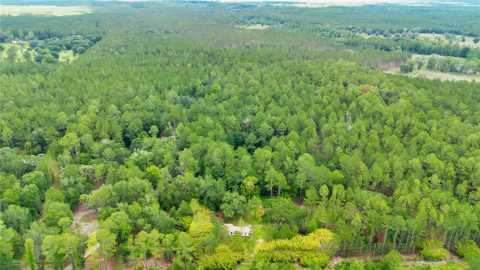 BLACK SINK CAMPSITES - Land