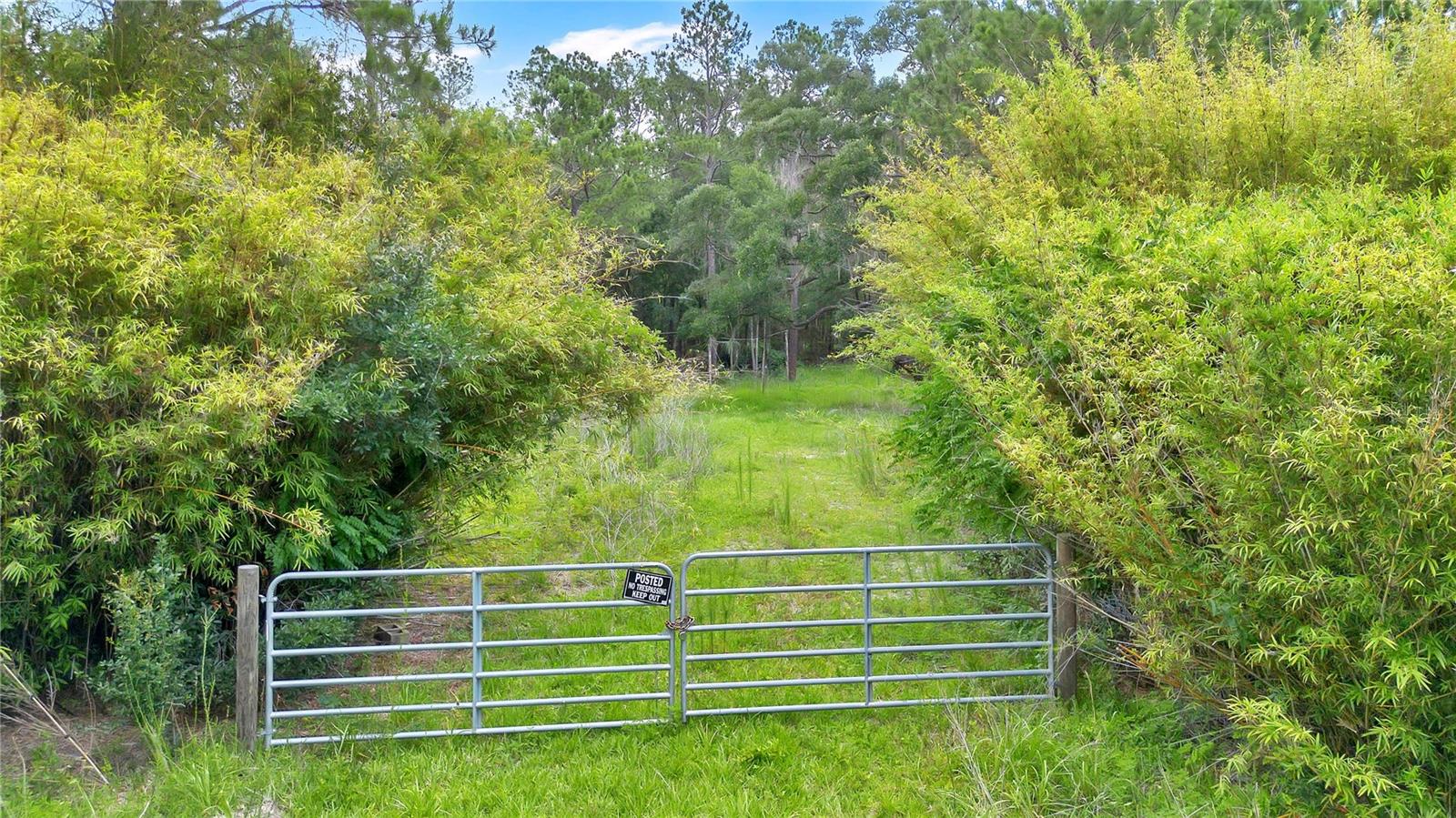 BLACK SINK CAMPSITES - Land